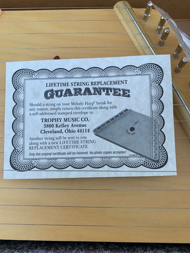 1stNote The Music Maker Melodie Harfe - mit Notenblättern, Plektrum & Zubehör - Bild 4 von 15