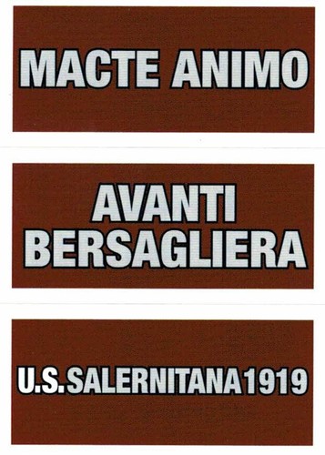 CALCIATORI PANINI 2023-2024 FIGURINA FUORI RACCOLTA SALERNITANA (RETRO FUCSIA) - Imagen 1 de 3