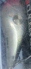 Bild 8 von 13
