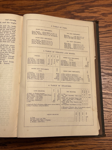Antike The Holy Bible New York American Bible Society 1883 Original Zungen - Bild 9 von 13