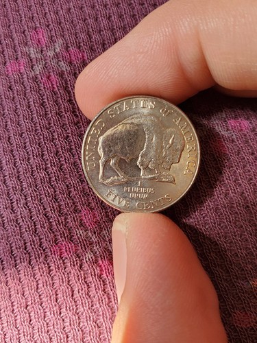 RARE 2005 D Buffalo Nickel Annealing Error Copper Edges See Pictures Super Cool - Picture 8 of 12