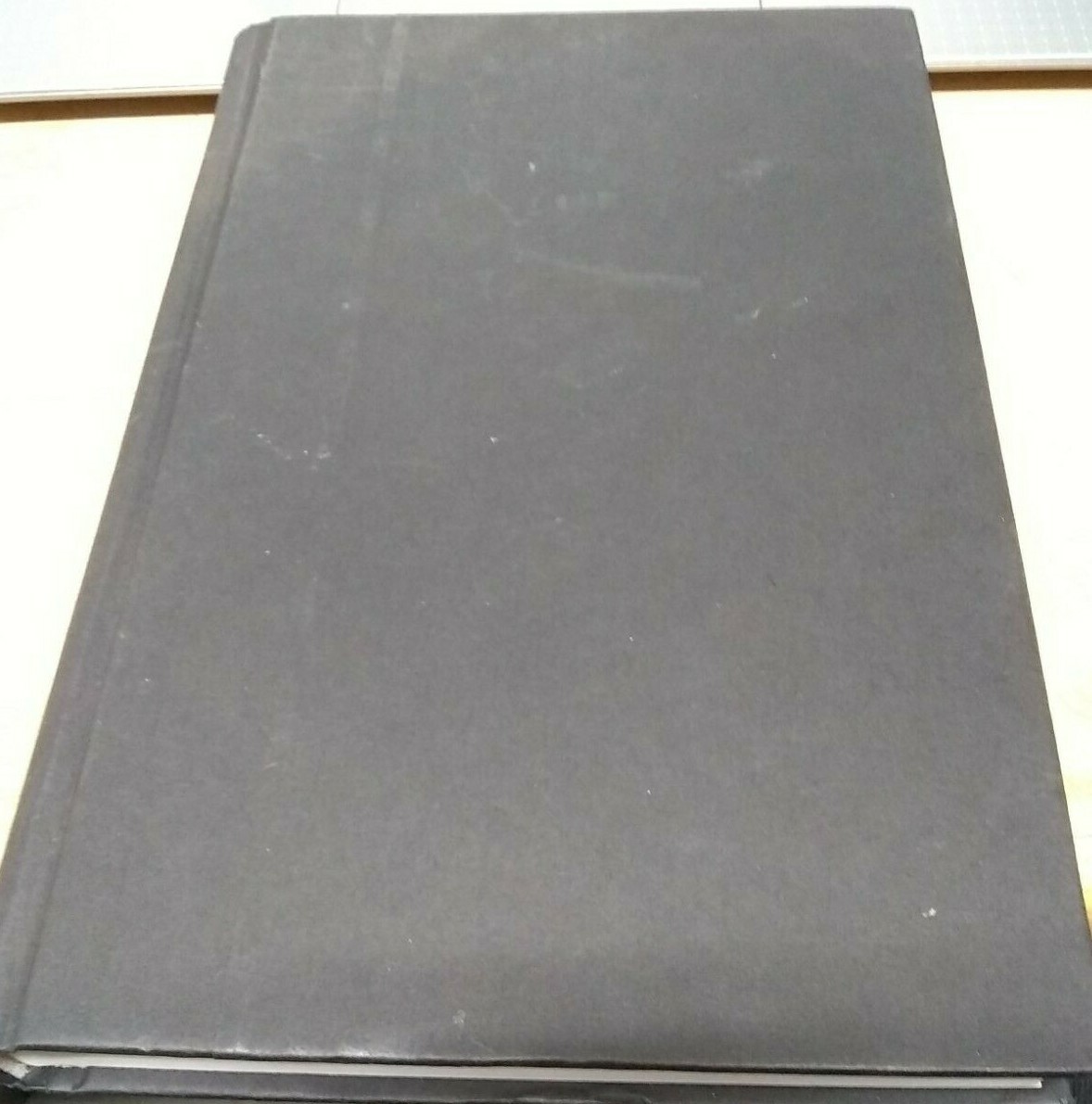 Black Titan: A. G. Gaston & the Making of a Black American Millionaire ...