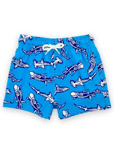 Boys Swimming Trunks Summer Toddler Bathing Suit Pockets with Mesh Lining 2-16yr - Picture 25 of 33