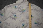 Foto 10 di 11