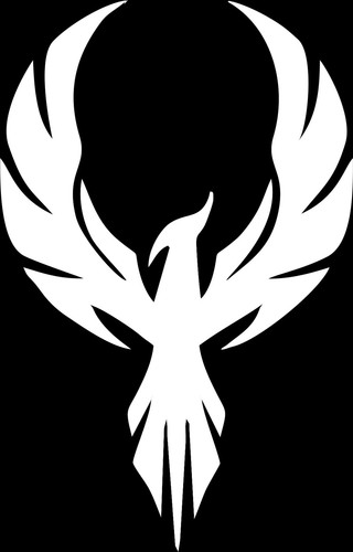 Eagle Phoenix Fire JDM Auto Car Bumper Window Vinyl Decal Sticker Laptop Tablet - Picture 5 of 13
