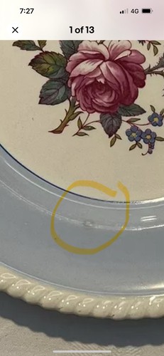 VINTAGE WINDSOR WARE JOHNSON BROS LARGE BLUE DINNER/SERVING PLATE - PINK ROSES - Bild 14 von 14