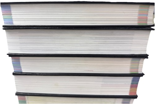 SW Advantage 6 Book Set - Math 1&2 Science Social Studies Language Honors Etc 2g - Picture 5 of 7