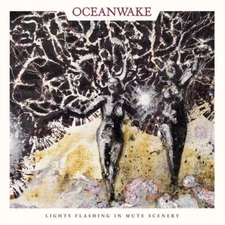Oceanwake Lights Flashing in Mute Scenery (Vinyl) 12" Album