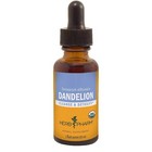 Dandelion Herbal Remedies & Resins
