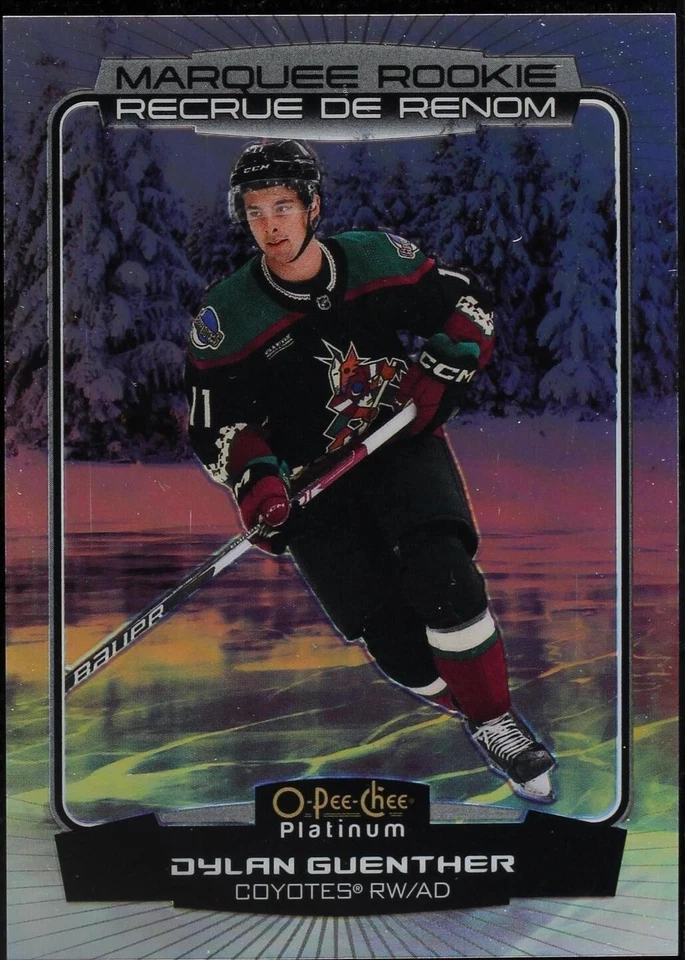 Pond Hockey Variants