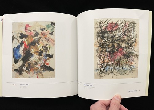 MICHAEL GOLDBERG  PERPETUAL MOTION  2010 EXHIBIT  UNIVERSITY ART MUSEUM  CALIFOR - Imagen 9 de 10