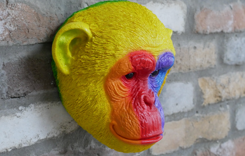 Fun Quirky Rainbow Pride Monkey Head Bust Mount Wall Ornament Garden Decor - Picture 4 of 4
