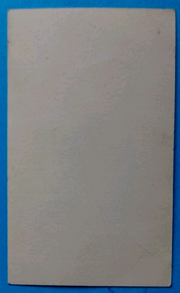 Bild 2 von 2