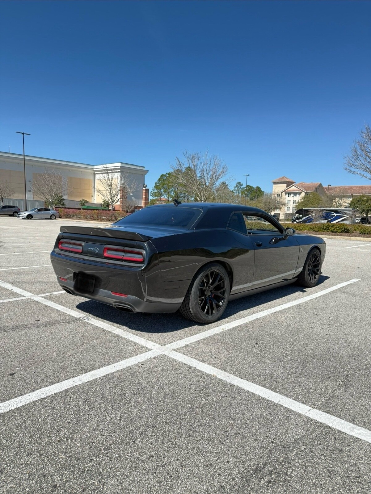 Picture 5 of 29
