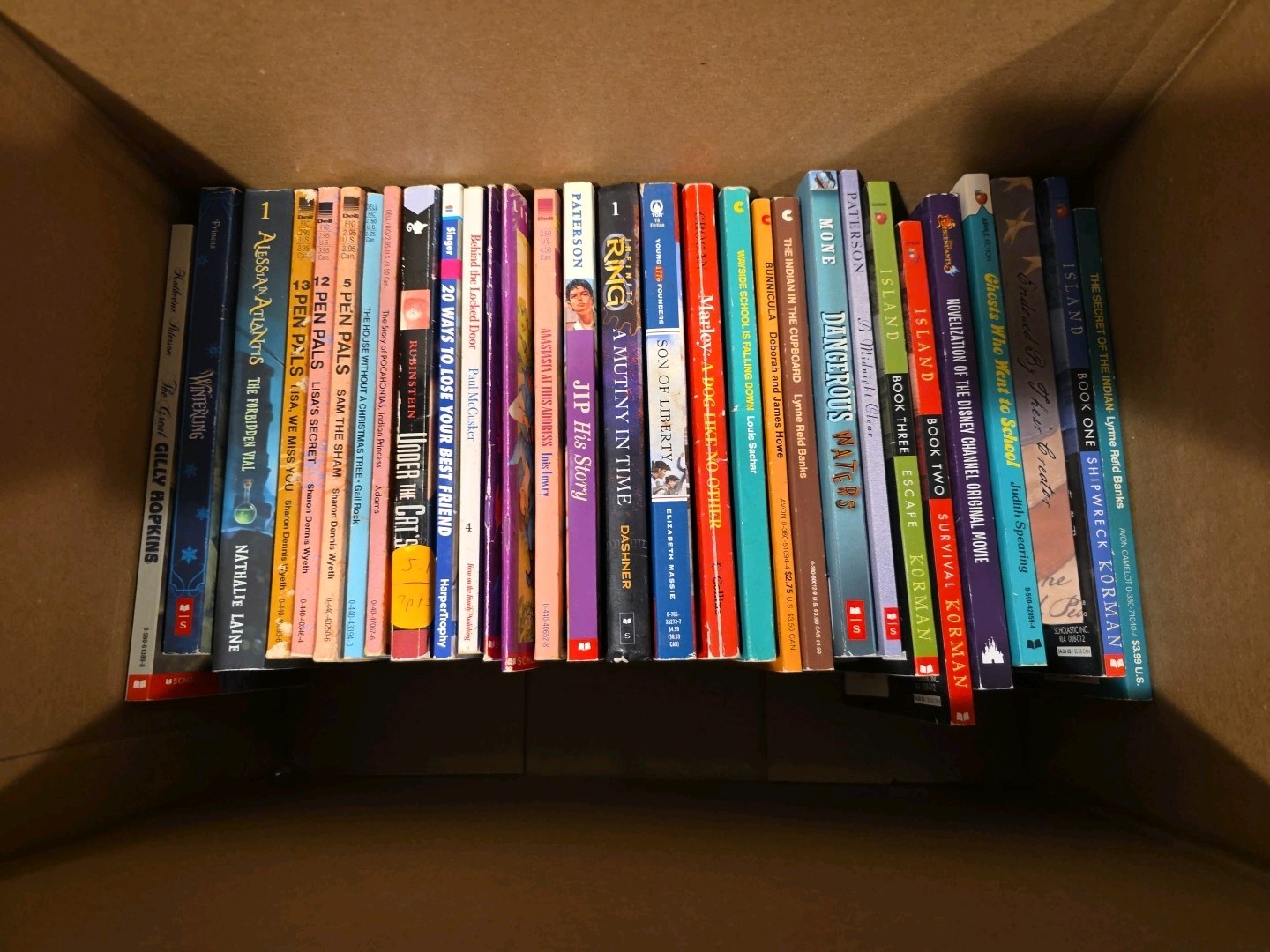 Large Lot of 35 Middle Grades Chapter Books! Instant Library Readers