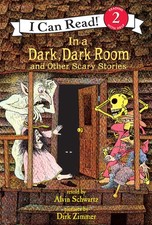 IN A DARK, DARK ROOM AND OTHER S