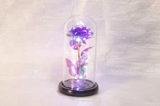 Butterfly Globe - Perfect Decorative Gift - Lights up #2