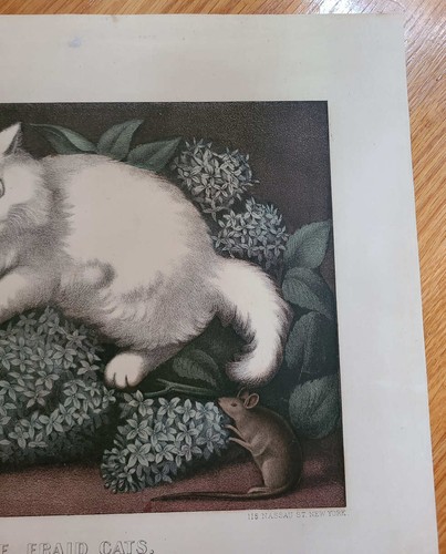 Currier & Ives Lithograph Two Little Fraid Cats -small folio - C6263, G6750 - Picture 7 of 8