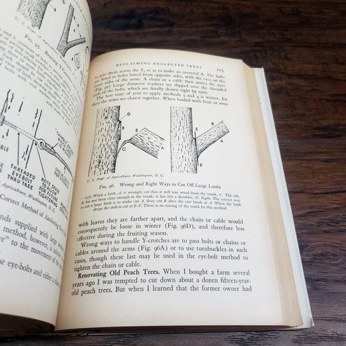 Vintage 1st Edition 1944 Grow Your Own Fruit by M. G. Kains Hardcover W/DJ Chart - Picture 19 of 24