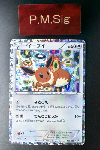 Eevee 189/BW-P Eevee Collection Black & White Promo 2012 Holo Rare Pokemon Karte