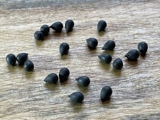 10, 15 or 20 TUNGSTEN SHOT ON THE HOOK - 0.3grams EACH + FREE P & P.