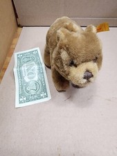 STEIFF TAPS BEAR 81668 RARE SEE PICS