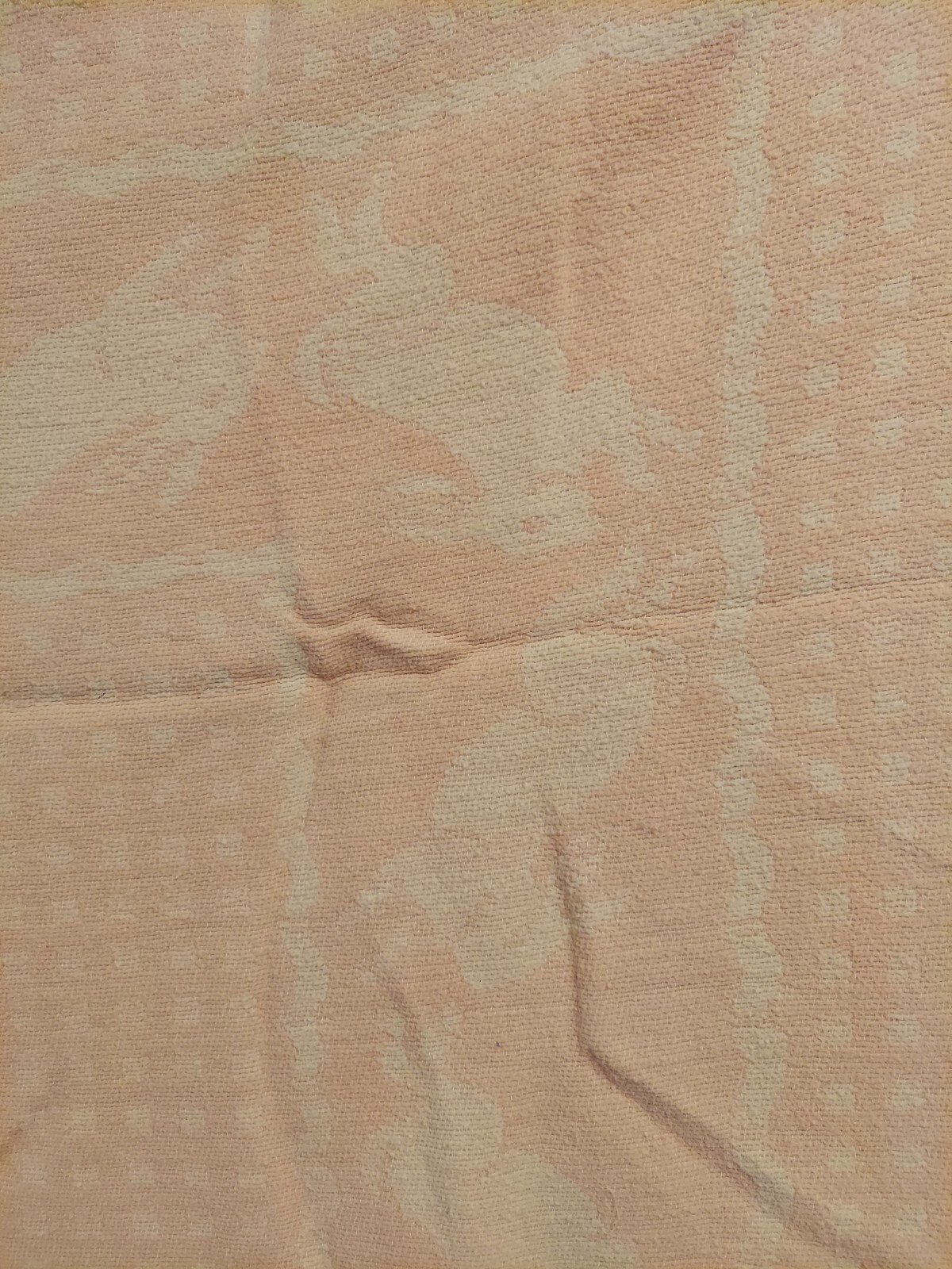 Picture 3 of 12