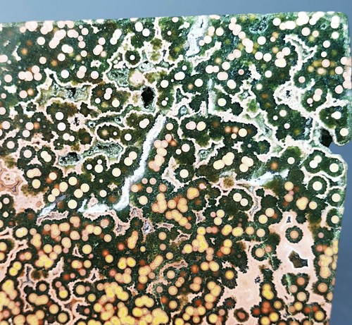 Collection ! Amazing Orbicular Ocean Jasper Agate Small Druzy Slab Reiki Stone - Picture 11 of 12