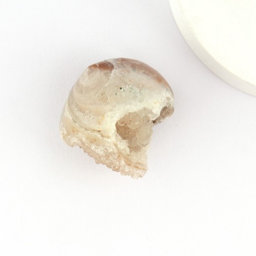 Conector único de piedras preciosas druzy de carcasa natural hágalo usted mismo - Imagen 4 de 14