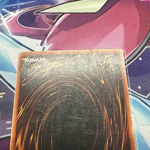 Yugioh (MP) Babydrache - MRD-061 - Common 1. Auflage - Bild 8 von 13