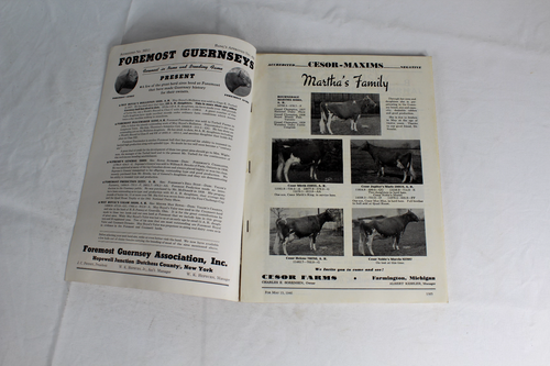 Guernsey Breeders Journal May 15, 1946 Cow Calf Bull Farms Cattle Dairy Ads - Imagen 5 de 24