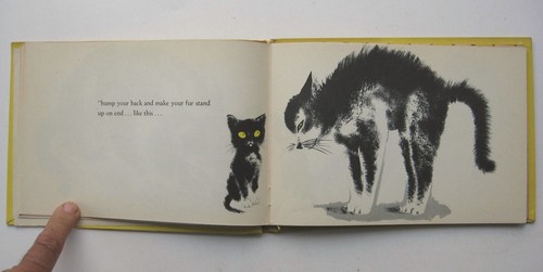 TIMID TIMOTHY ~ Gweneira Williams SIGNED HC/DJ 1944 ILLUS Leonard Weisgard - E - Picture 13 of 17