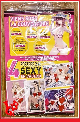 ANIMELAND Hors Série 10 Special Hentai Juillet 2025 Manga Anime land VF # NEUF # - Picture 5 of 5