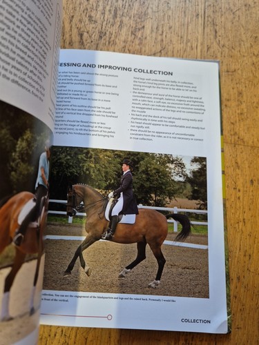 6 Steps to a Schooled Horse Susan McBane schooling training horses horse riding - Picture 7 of 12