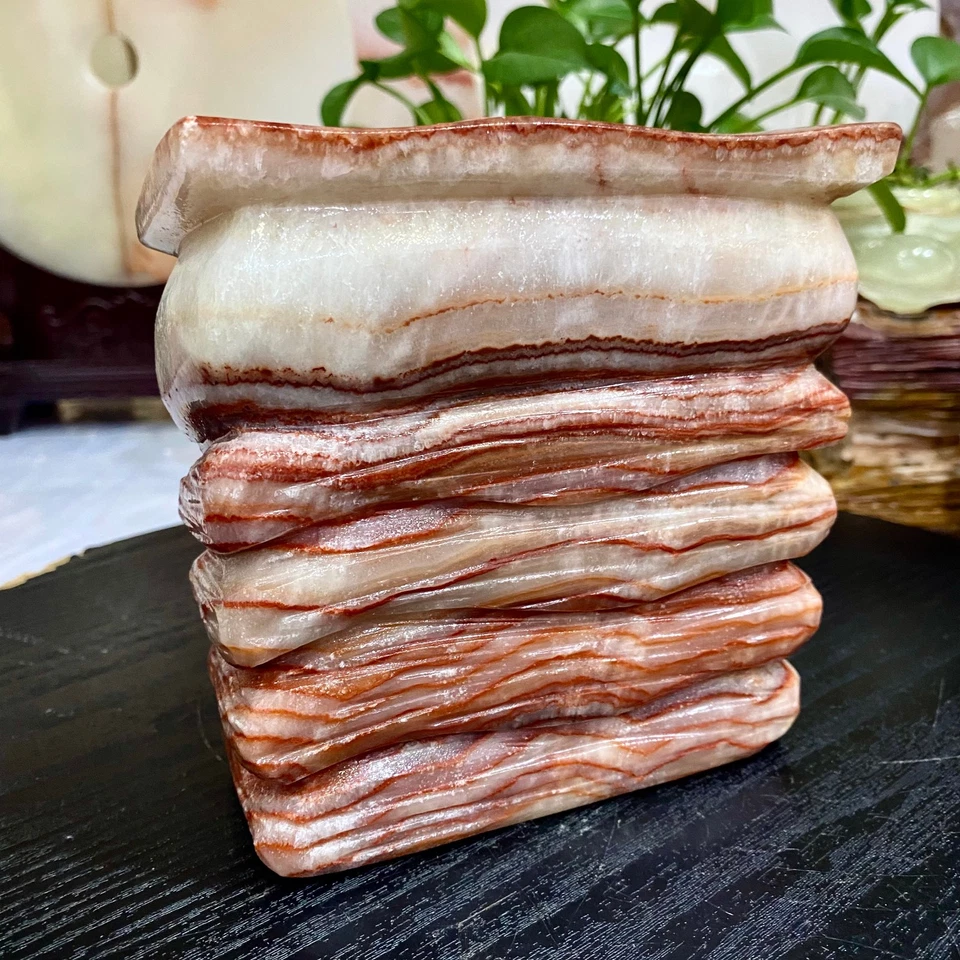 5,3 Pfund natürlicher polierter Schweinestein Fleischprobe