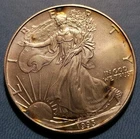 1993 Walking Liberty American Eagle Silver Dollar