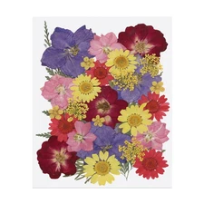 30 Pcs Dried Pressed Flower Leaves Bulk for Resin, Multicolor