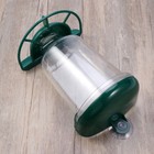 Window Bird Feeder Wild Feeders Flying Birdfeeder Feeding Station