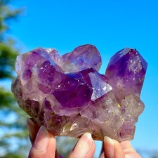 367G Grappolo di Ametista Naturale Cristallo di Quarzo Spina Minerale Esemplare Guarigione