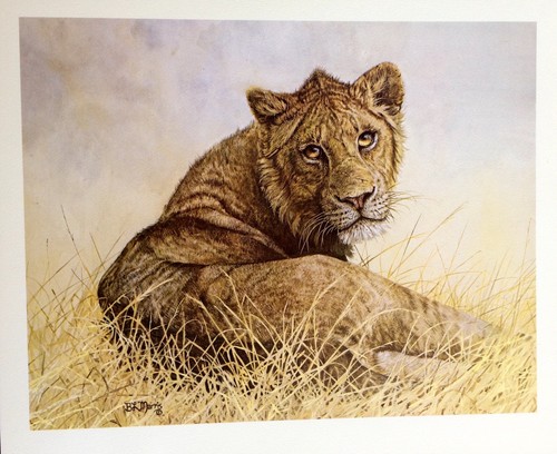 AMAZING WILDLIFE ART PAINTING SIGNED BONNIE MARRIS WILD ANIMAL NATURE LITHOGRAPH | eBay AMAZING WILDLIFE ART PAINTING SIGNED BONNIE MARRIS WILD ANIMAL NATURE LITHOGRAPH | eBay