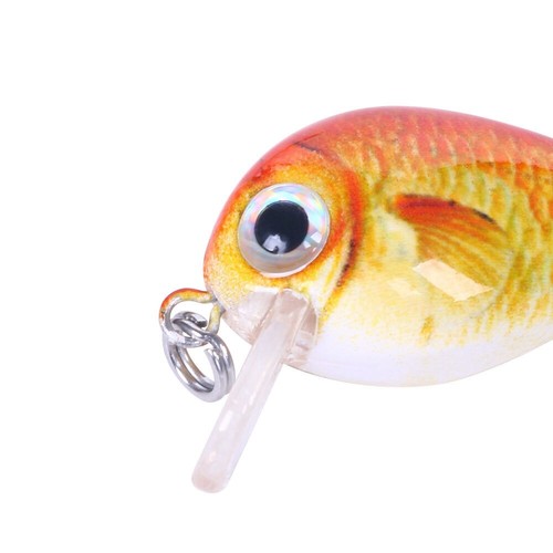 Mini 5 Color/Box Floating Crank Baits Pike Perch Trout Lures Fishing New 2.7cm - Picture 12 of 20