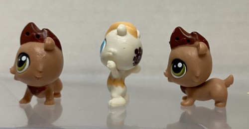 Littlest Pet Shop Chomper McConnell 3707 + DOS Hamilton Rumbles 3706 LPS Hasbro - Imagen 2 de 6