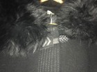 Bild 4 von 5