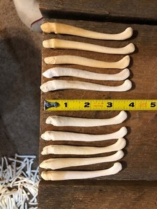 raccoon toothpicks raccoon toothpicks
