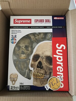 その他 Supreme - supreme 4D Model Human Skull Supreme 4D Model Human Skull Natural - FW23 - US