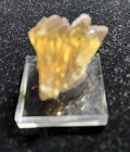 Bild 6 von 6