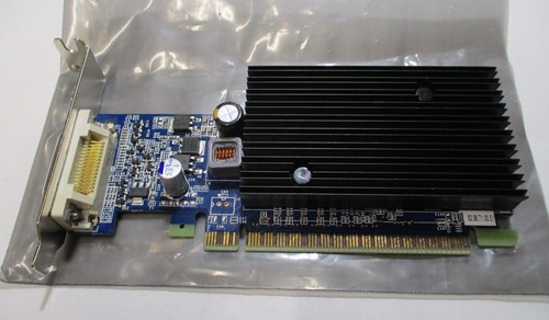 PNY GeForce 8400GS 512MB PCI 2.0 x 16 Low Profile Graphics Card VCG84DMS5SXPB - Picture 1 of 3