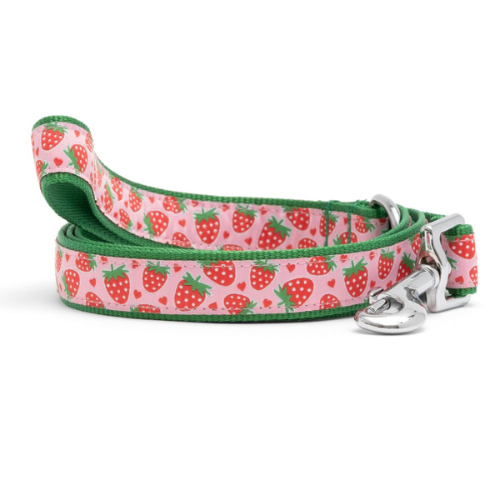 The Worthy Dog ERDBEEREN Band Nylon Hundehalsband und/oder Leine — Größe wählbar - Bild 10 von 10