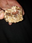 Bild 7 von 15