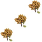 3pcs Simulation Longan Modell gefälschte Kunststoff Früchte Prop Supermarkt